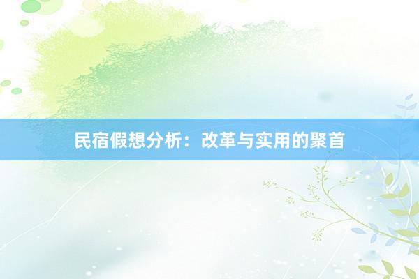 民宿假想分析：改革与实用的聚首